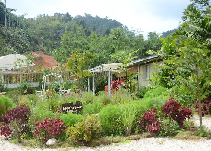 Moonriver Lodge