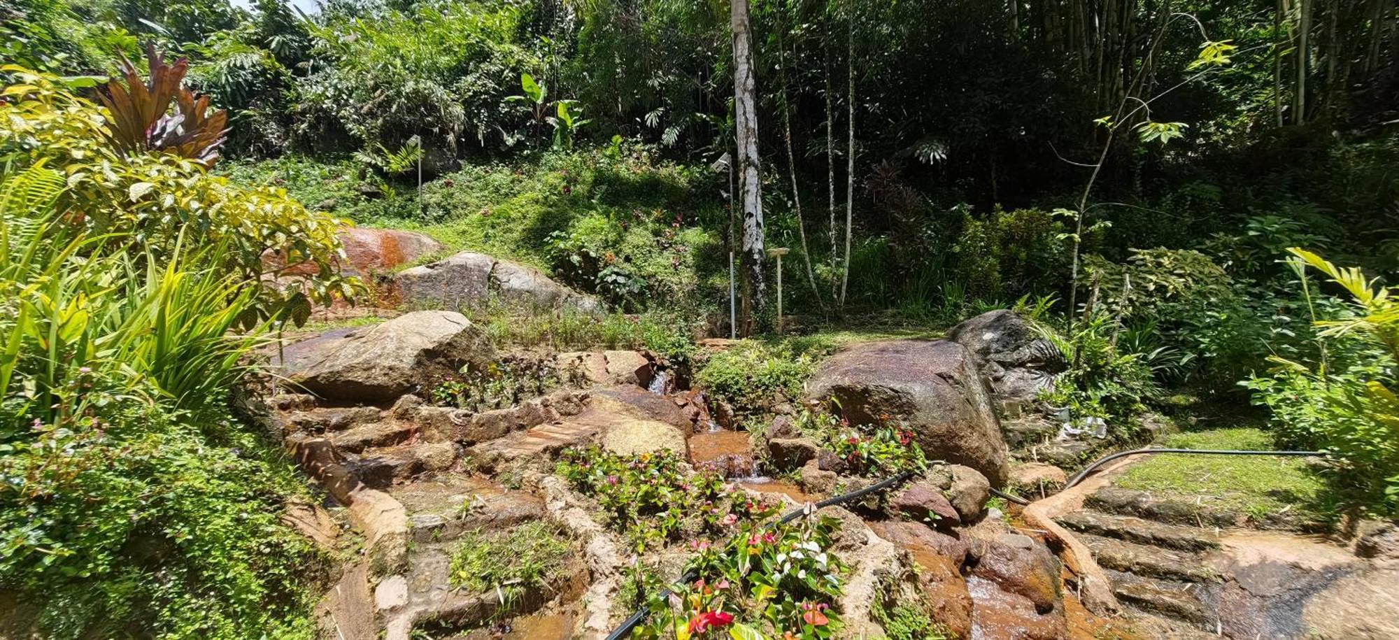 Moonriver Penginapan ladang