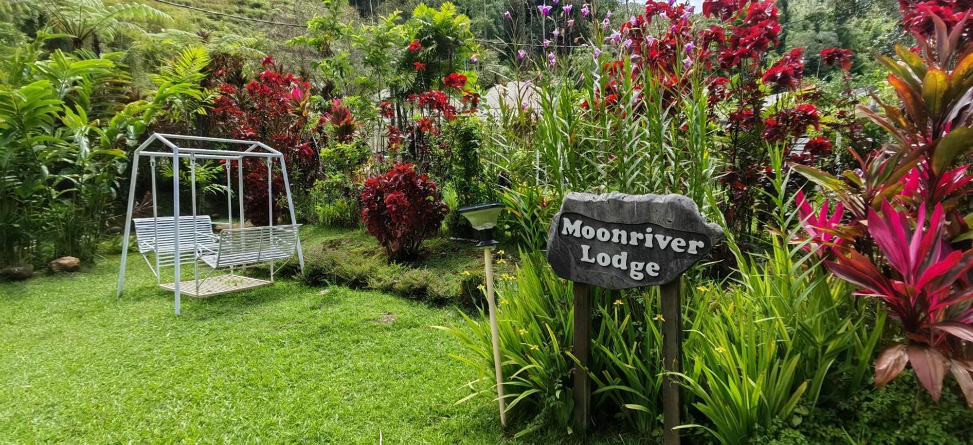 Moonriver Penginapan ladang