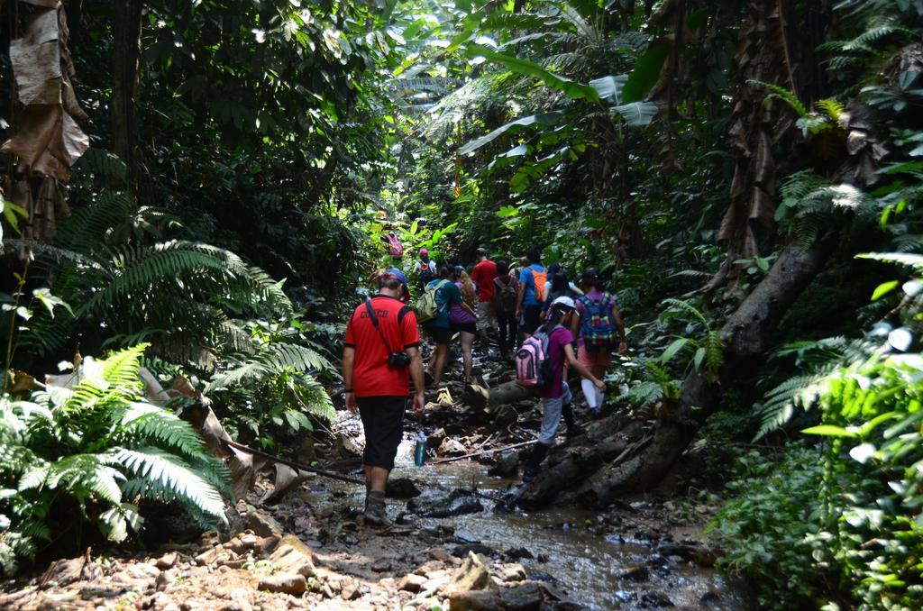Moonriver Penginapan ladang Cameron Highlands
