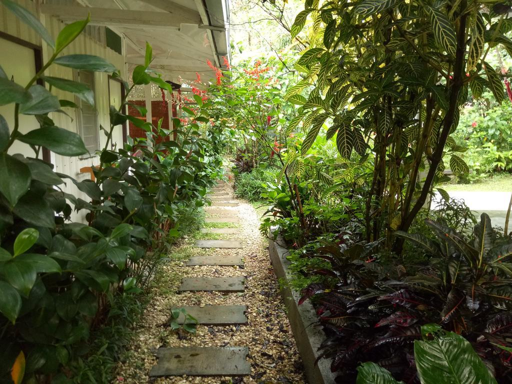 Moonriver Penginapan ladang Cameron Highlands