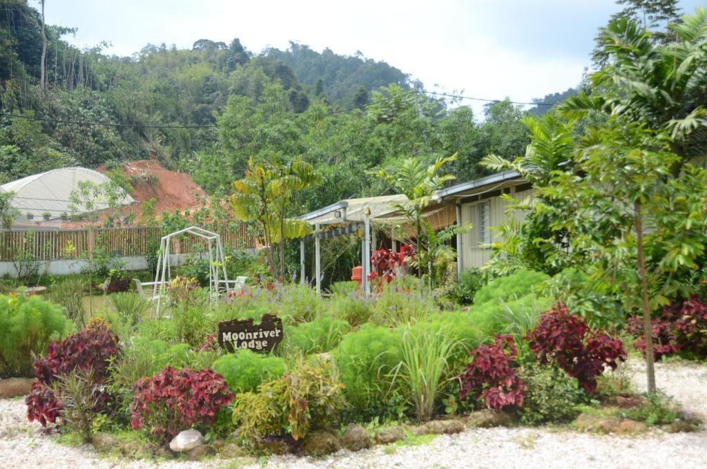 Moonriver Penginapan ladang *