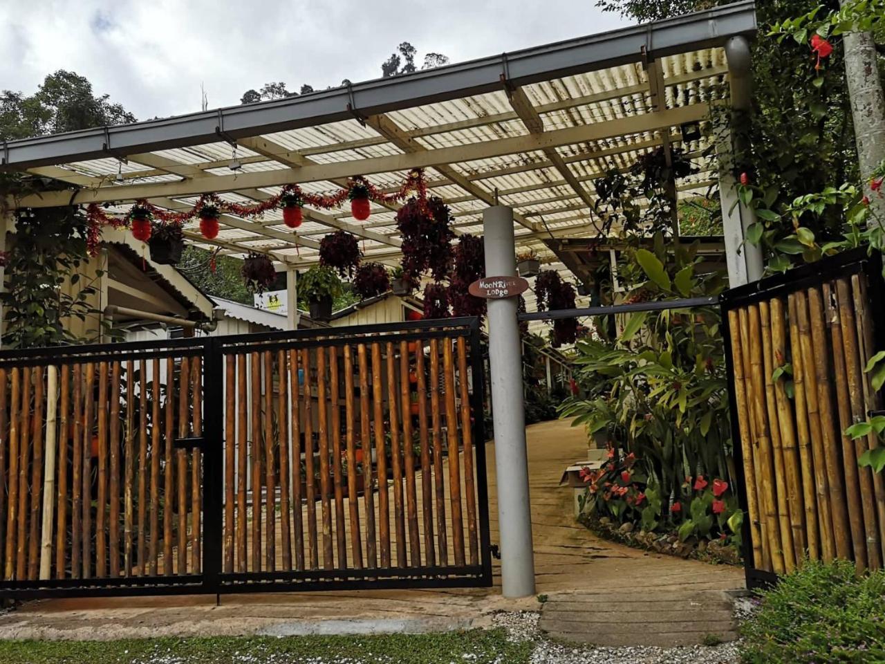 Penginapan ladang Moonriver Cameron Highlands