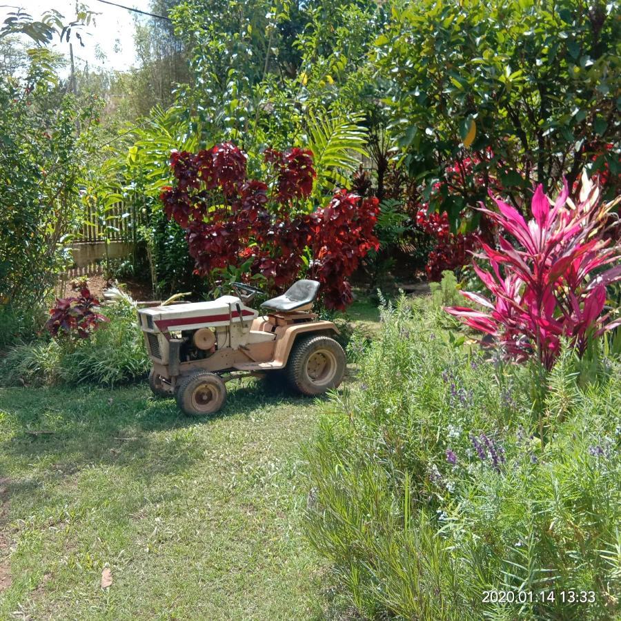Moonriver Penginapan ladang