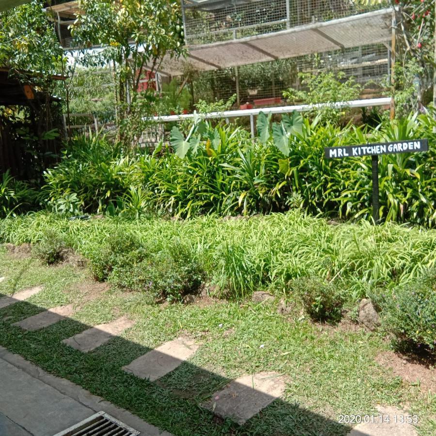 Moonriver Cameron Highlands